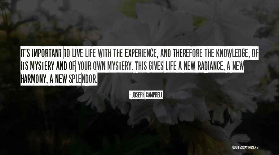 Ritger Arefni Quotes By Joseph Campbell