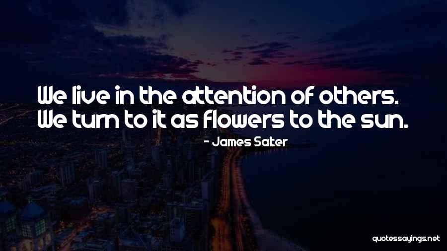 Ritzer George Quotes By James Salter Ritzer George Quotes By James Salter