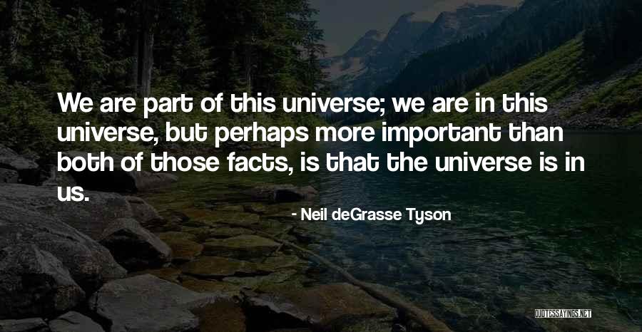 Rivayet Kipinin Quotes By Neil DeGrasse Tyson Rivayet Kipinin Quotes By Neil DeGrasse Tyson