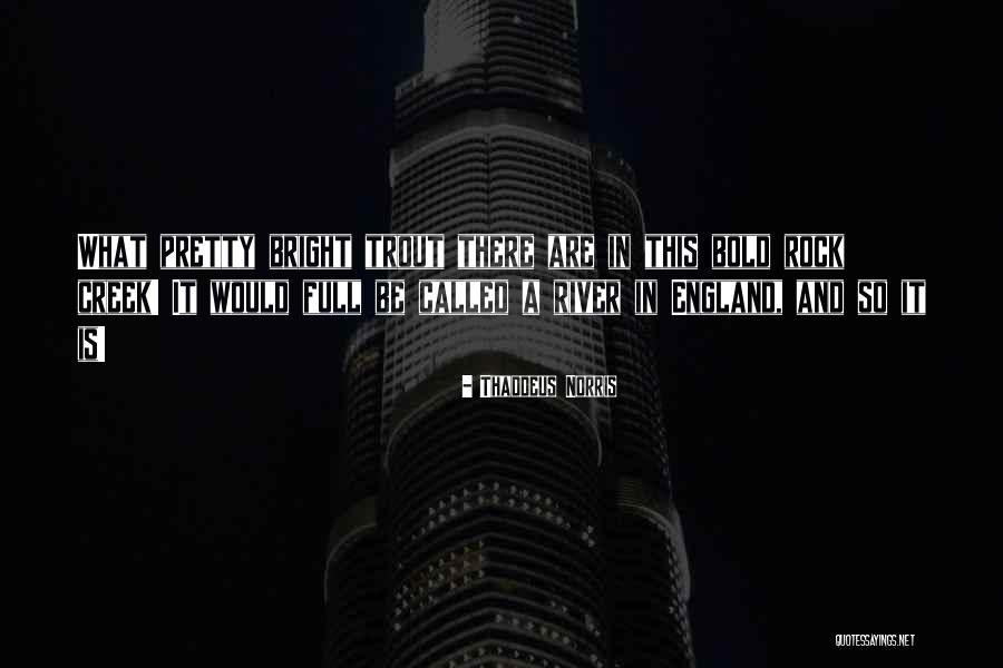 River And Sea Quotes By Thaddeus Norris River And Sea Quotes By Thaddeus Norris