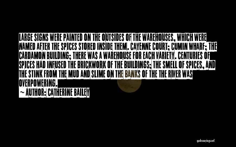 River Banks Quotes By Catherine Bailey