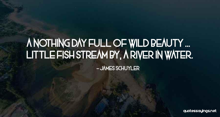River Beauty Quotes By James Schuyler River Beauty Quotes By James Schuyler