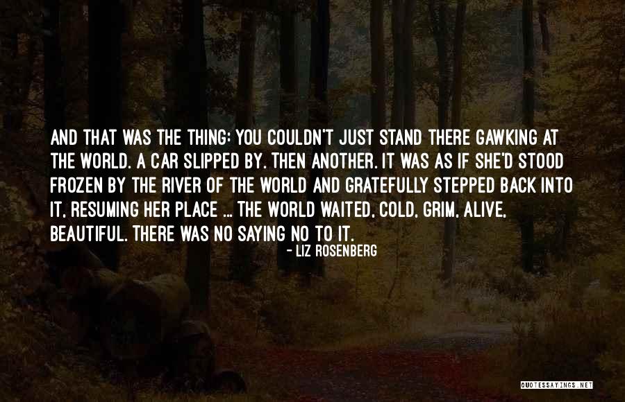 River Beauty Quotes By Liz Rosenberg River Beauty Quotes By Liz Rosenberg