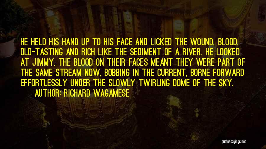 River Current Quotes By Richard Wagamese