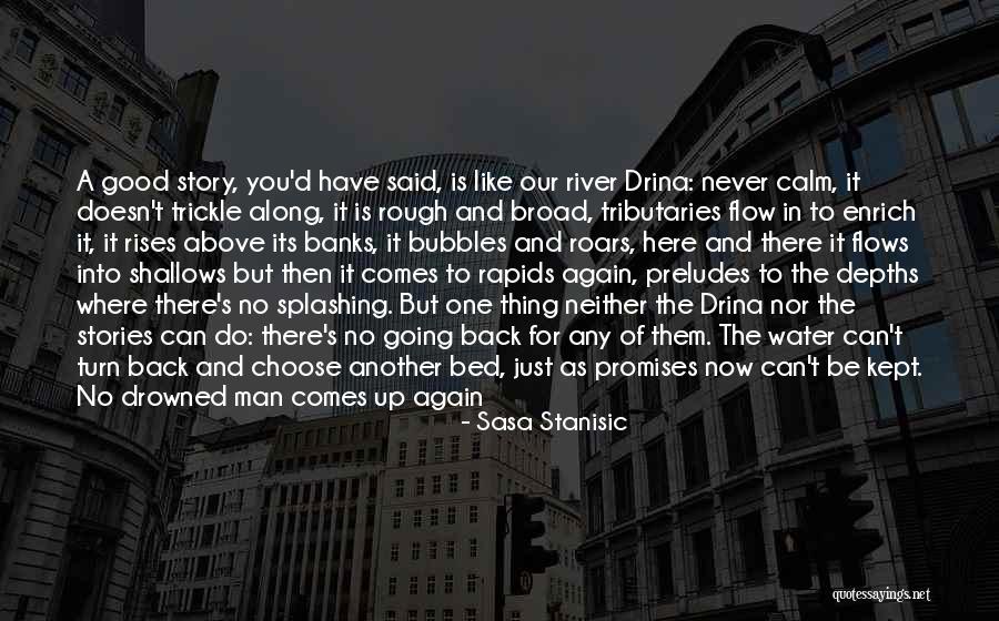 River Delta Quotes By Sasa Stanisic River Delta Quotes By Sasa Stanisic