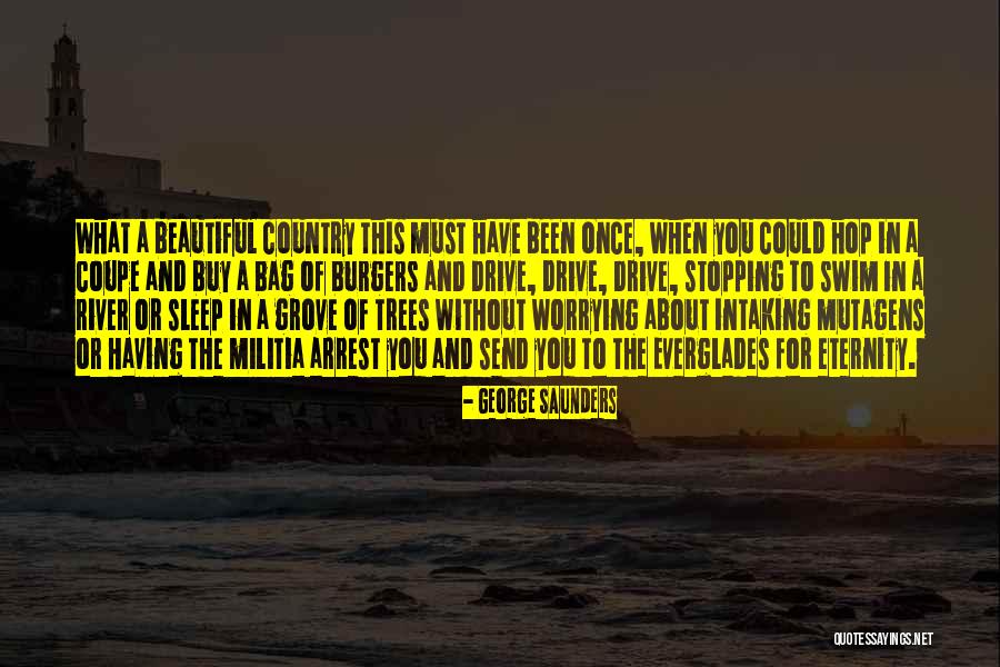 River Drive Quotes By George Saunders River Drive Quotes By George Saunders