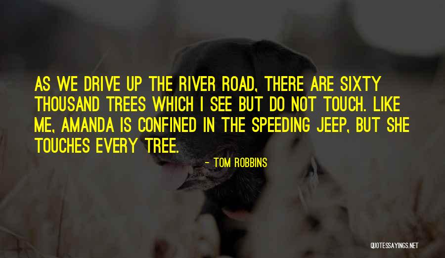 River Drive Quotes By Tom Robbins River Drive Quotes By Tom Robbins