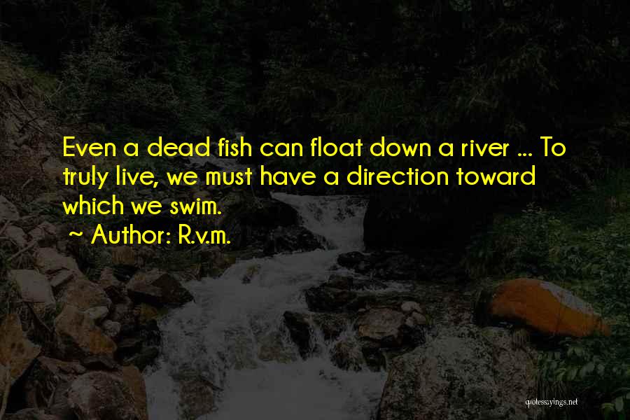 River Float Quotes By R.v.m.