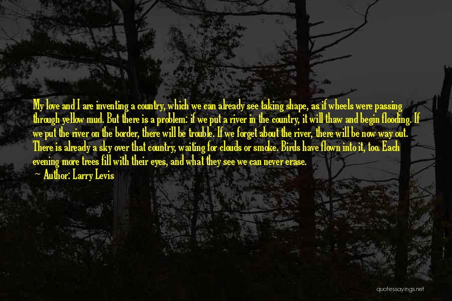 River Flooding Quotes By Larry Levis
