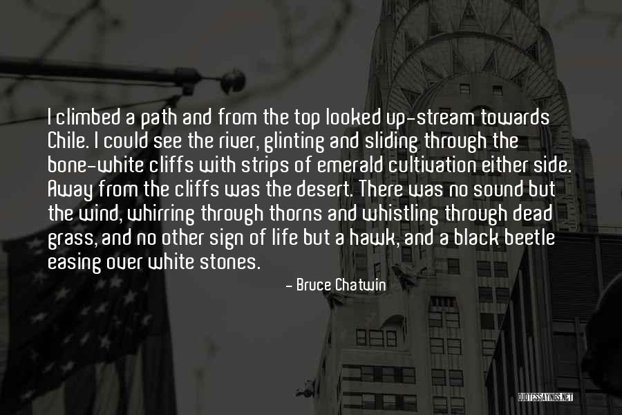 River Of Grass Quotes By Bruce Chatwin River Of Grass Quotes By Bruce Chatwin