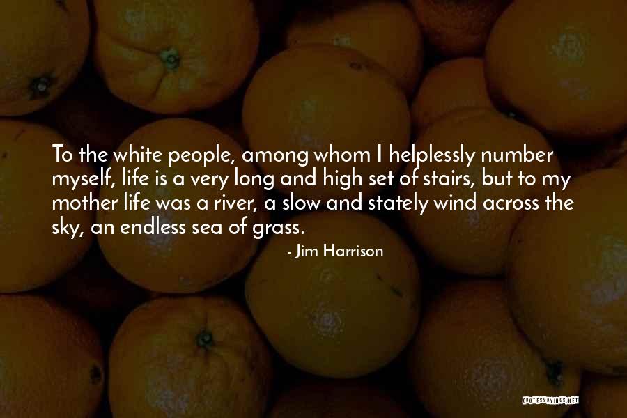 River Of Grass Quotes By Jim Harrison River Of Grass Quotes By Jim Harrison