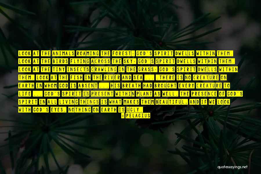 River Of Grass Quotes By Pelagius River Of Grass Quotes By Pelagius