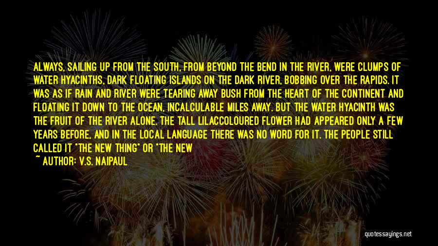 River Rapids Quotes By V.S. Naipaul