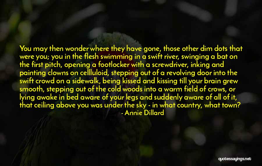 River Town Quotes By Annie Dillard River Town Quotes By Annie Dillard