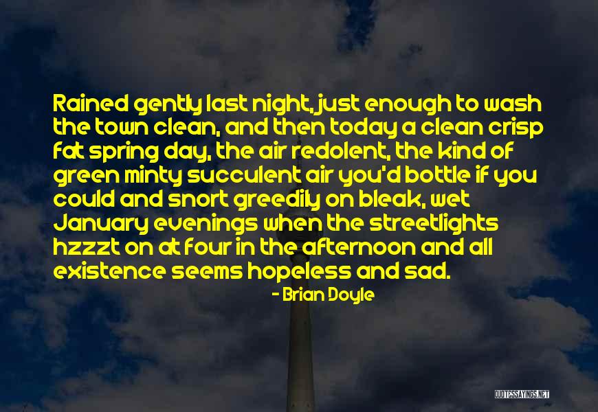 River Town Quotes By Brian Doyle River Town Quotes By Brian Doyle