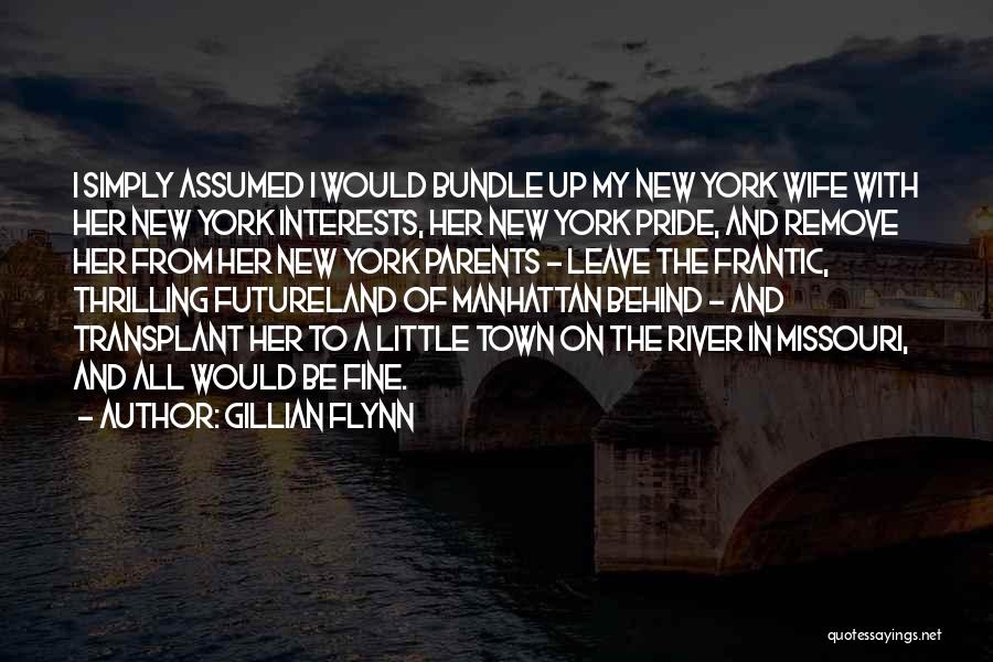River Town Quotes By Gillian Flynn