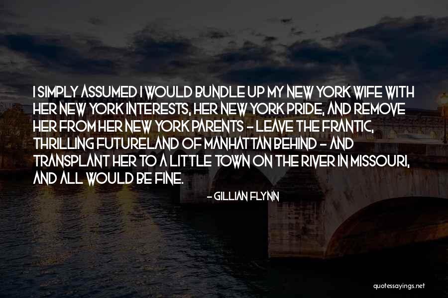 River Town Quotes By Gillian Flynn River Town Quotes By Gillian Flynn