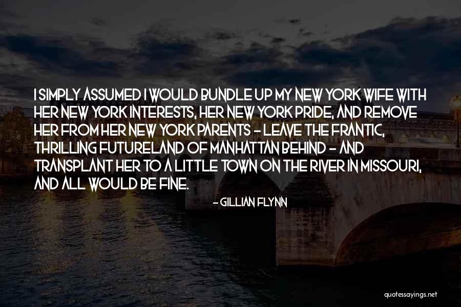 River Town Quotes By Gillian Flynn