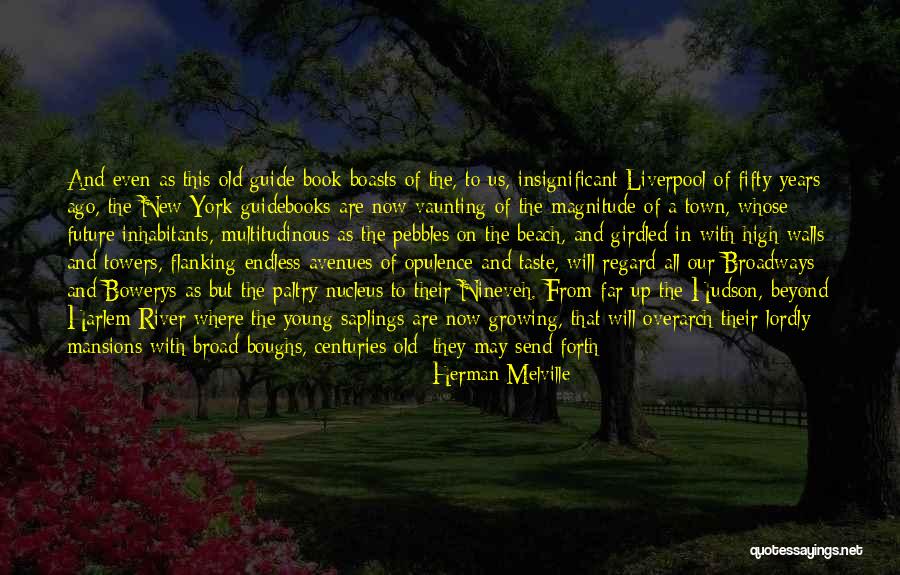 River Town Quotes By Herman Melville River Town Quotes By Herman Melville