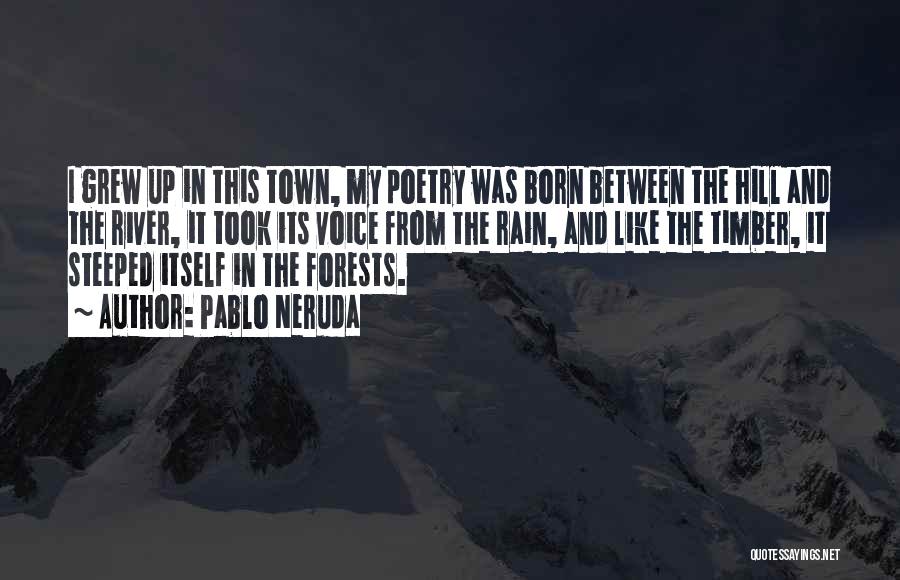River Town Quotes By Pablo Neruda