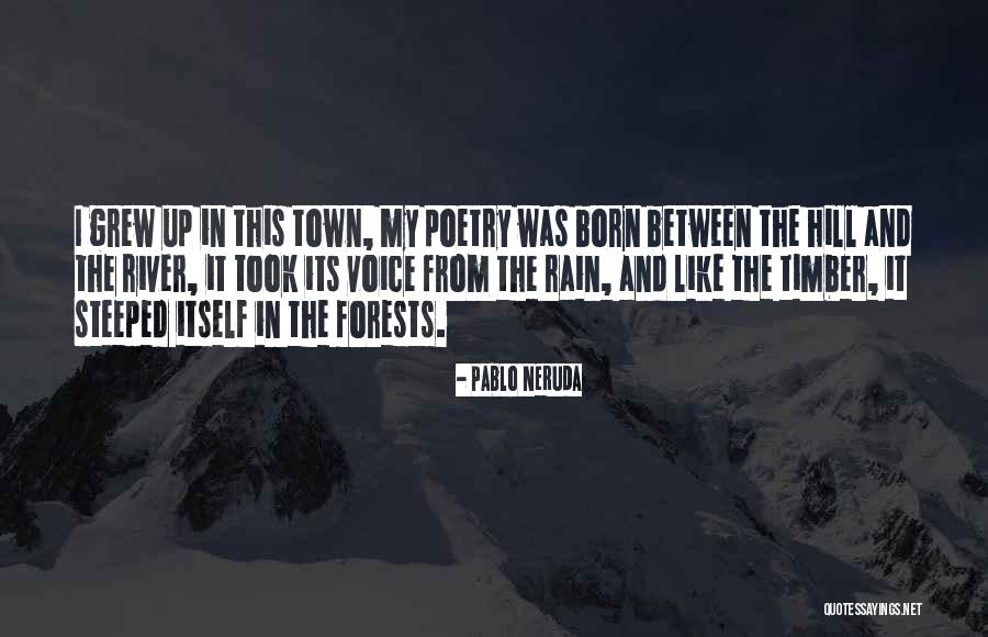 River Town Quotes By Pablo Neruda