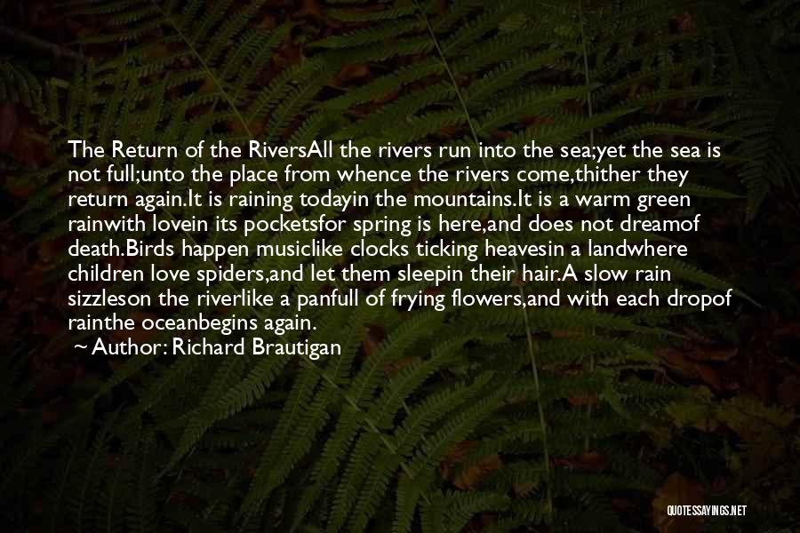 Rivers And Mountains Quotes By Richard Brautigan
