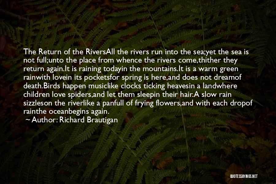 Rivers And Mountains Quotes By Richard Brautigan