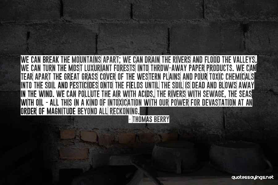 Rivers And Mountains Quotes By Thomas Berry