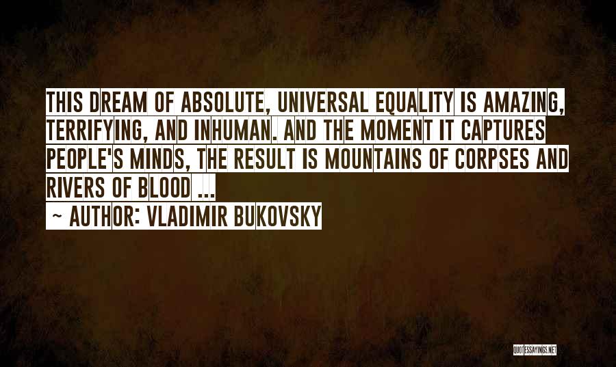 Rivers And Mountains Quotes By Vladimir Bukovsky
