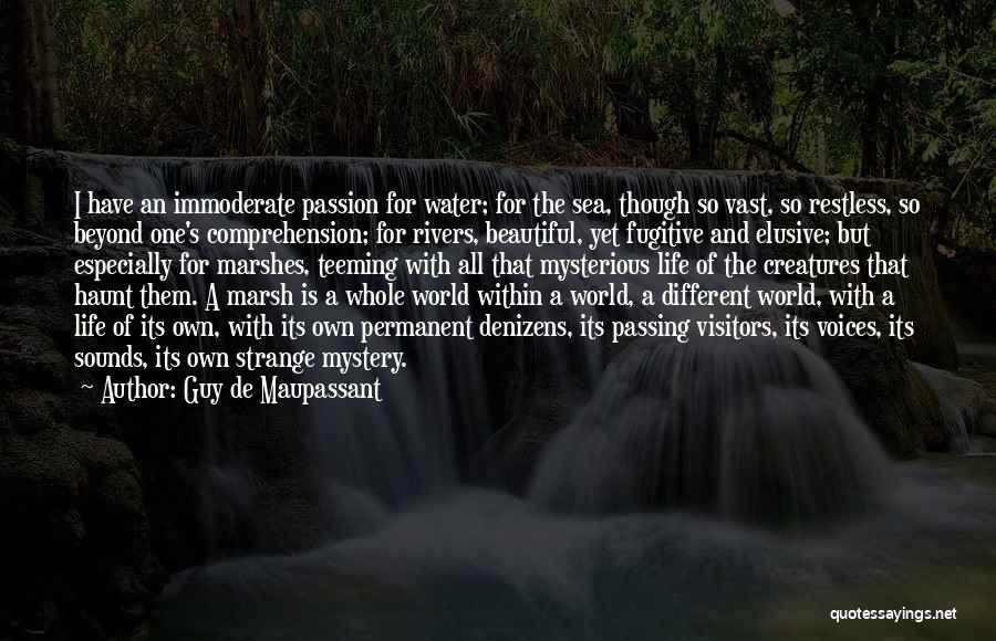 Rivers And Water Quotes By Guy De Maupassant