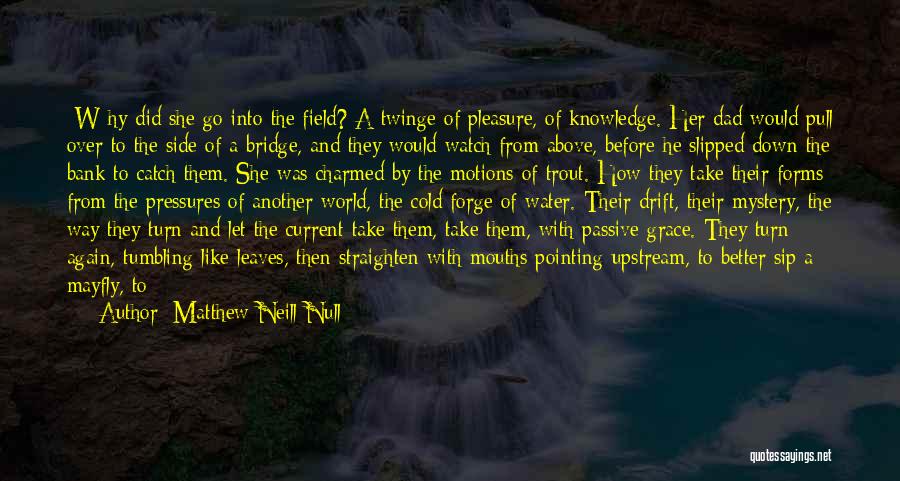 Rivers And Water Quotes By Matthew Neill Null