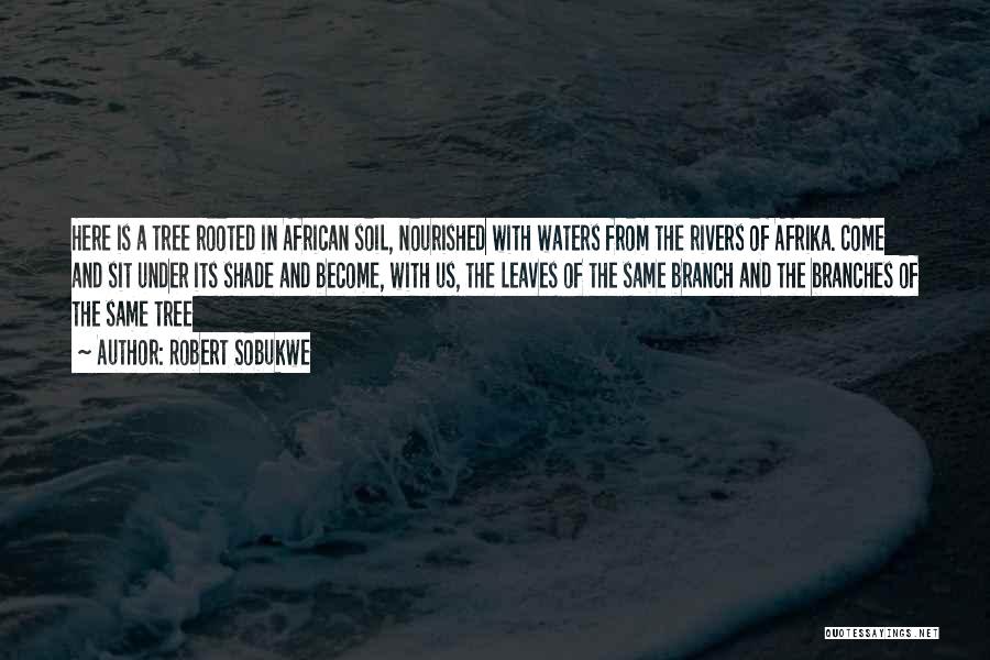 Rivers And Water Quotes By Robert Sobukwe