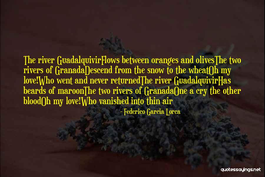 Rivers Of Blood Quotes By Federico Garcia Lorca