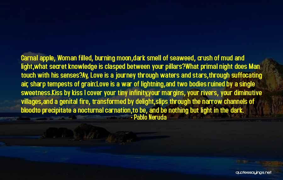 Rivers Of Blood Quotes By Pablo Neruda