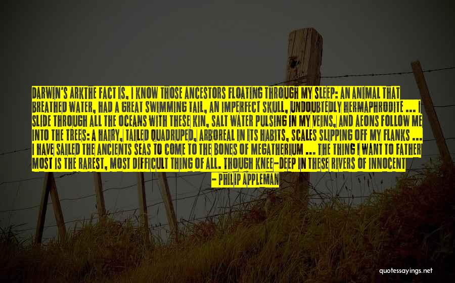 Rivers Of Blood Quotes By Philip Appleman