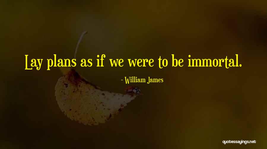 Rivkah Lender Quotes By William James