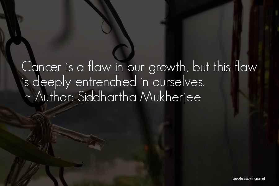 Rivonia Trialist Quotes By Siddhartha Mukherjee