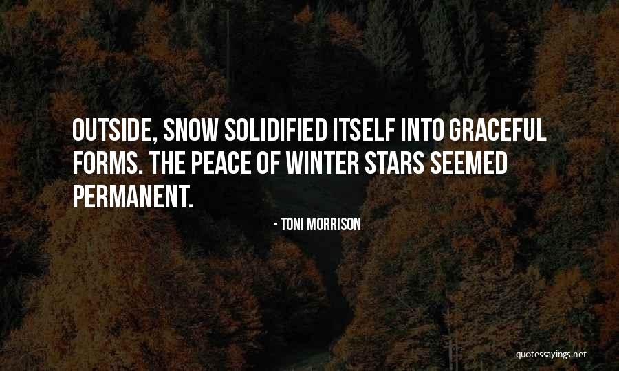 Riyal To Rupees Quotes By Toni Morrison Riyal To Rupees Quotes By Toni Morrison