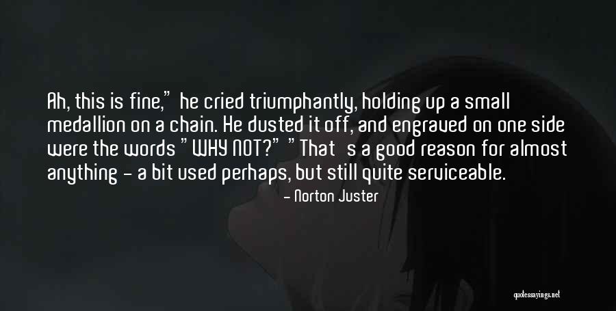 Riyria Characters Quotes By Norton Juster Riyria Characters Quotes By Norton Juster