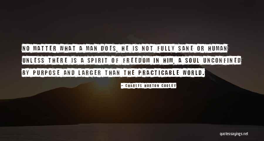 Rizado En Quotes By Charles Horton Cooley Rizado En Quotes By Charles Horton Cooley