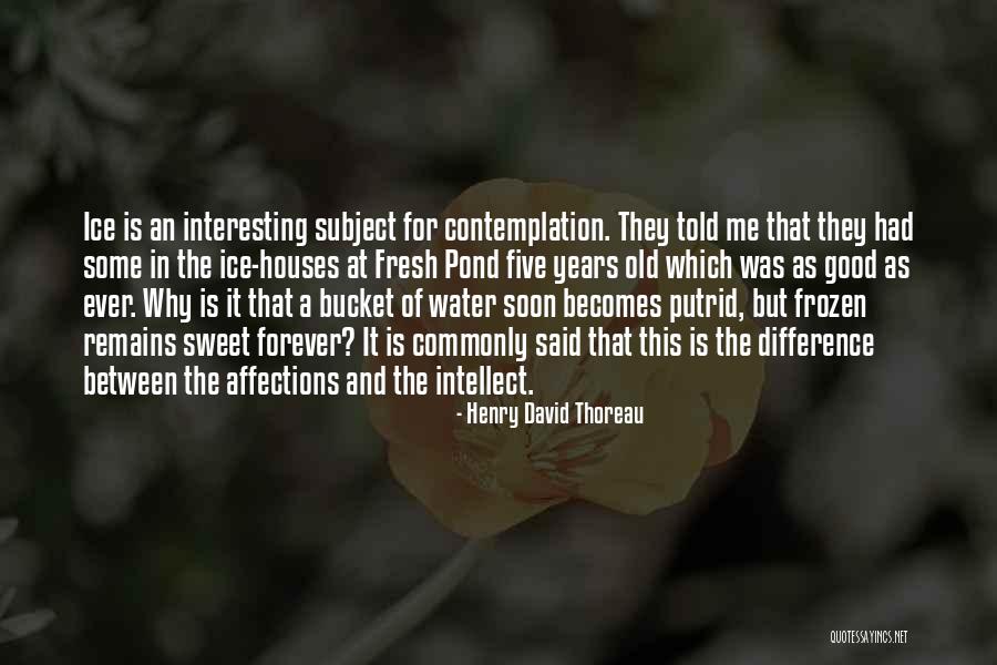 Rizals Life Quotes By Henry David Thoreau Rizals Life Quotes By Henry David Thoreau