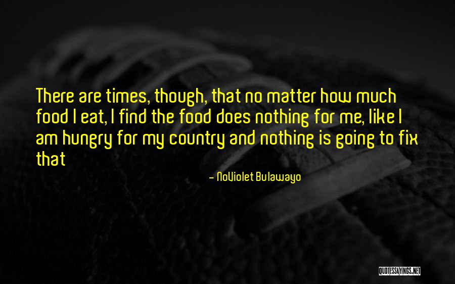 Rizel Sha Quotes By NoViolet Bulawayo Rizel Sha Quotes By NoViolet Bulawayo