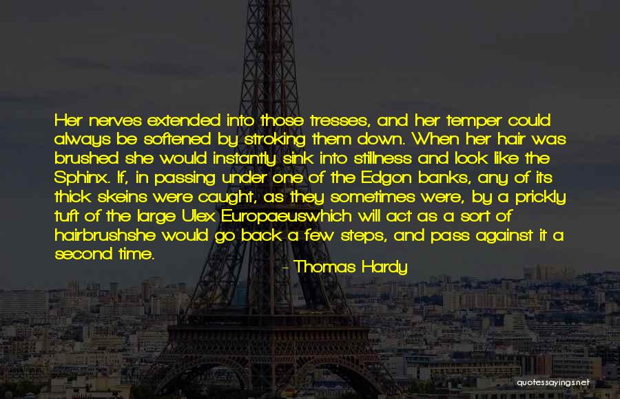 Rizik K Quotes By Thomas Hardy Rizik K Quotes By Thomas Hardy