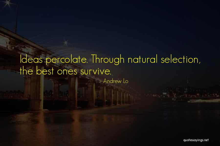 Rizike Quotes By Andrew Lo Rizike Quotes By Andrew Lo