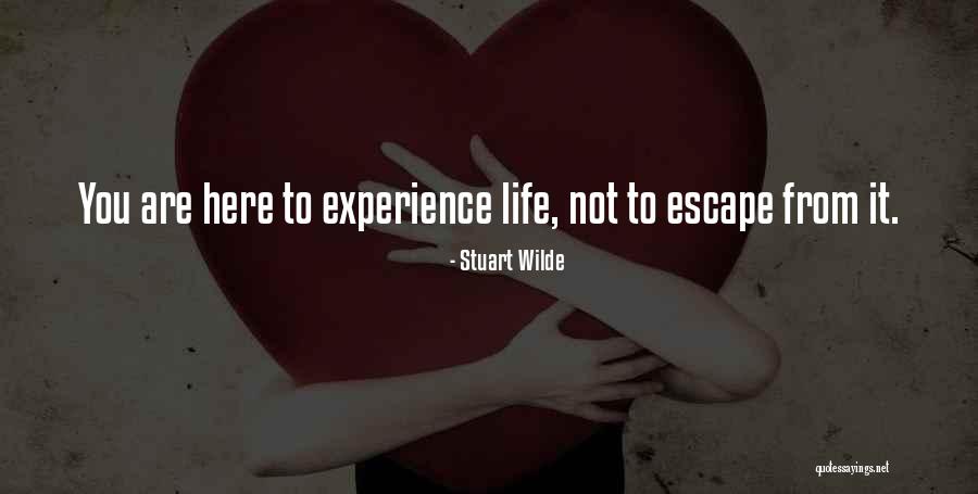 Rjender Quotes By Stuart Wilde Rjender Quotes By Stuart Wilde