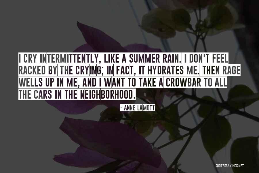 Rmeyecare Quotes By Anne Lamott Rmeyecare Quotes By Anne Lamott