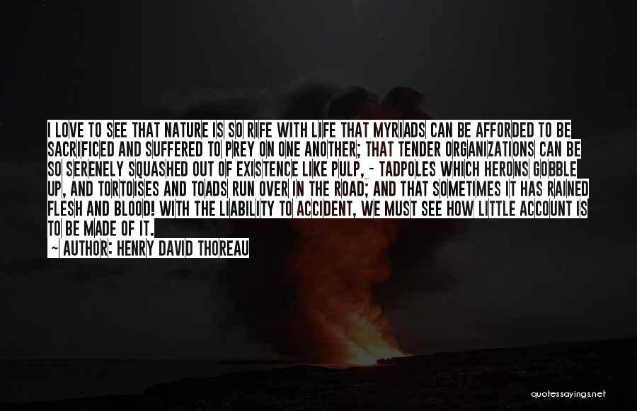 Road Accident Quotes By Henry David Thoreau