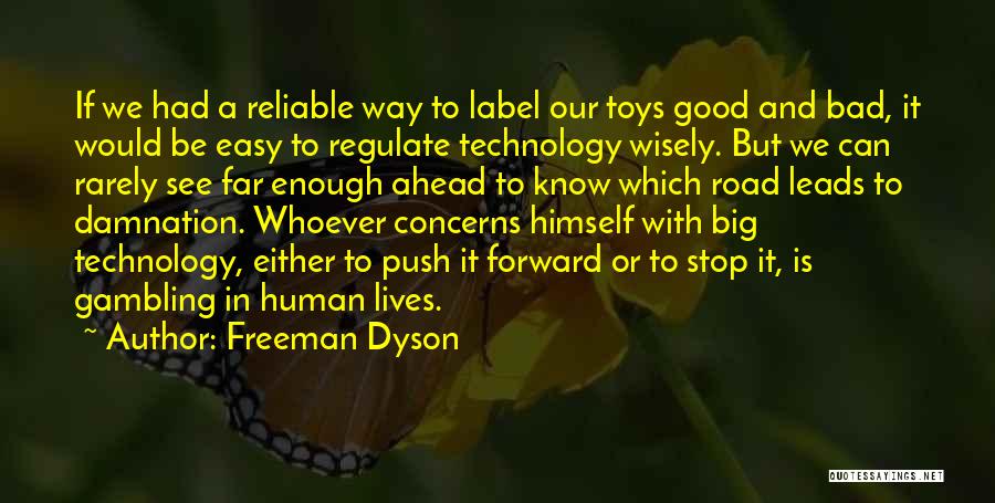 Road Ahead Quotes By Freeman Dyson