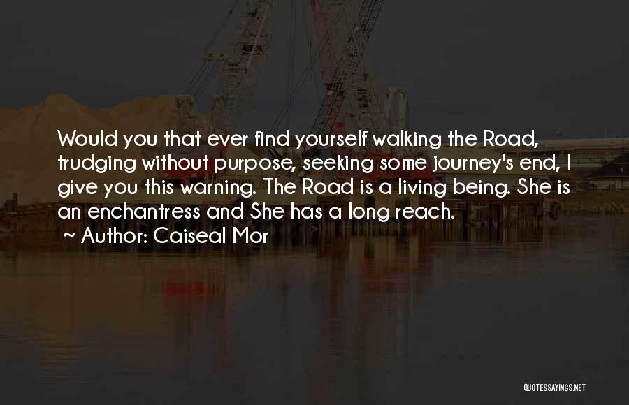 Road And Journey Quotes By Caiseal Mor