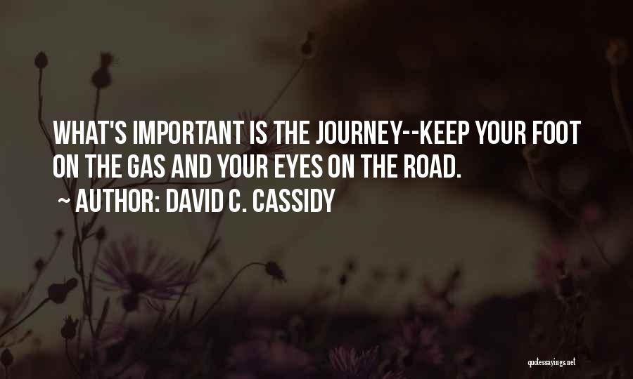 Road And Journey Quotes By David C. Cassidy